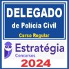 delegado-pc-reg