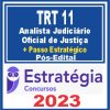 TRT 11 AM/RR (Oficial de Justiça Avaliador Federal + Passo) Pós Edital - Estratégia 2023