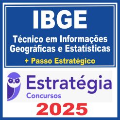 ibge-tec-info-geo-est1