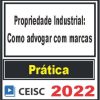 PRÁTICA (Propriedade Industrial: como advogar com marcas) Ceisc 2022