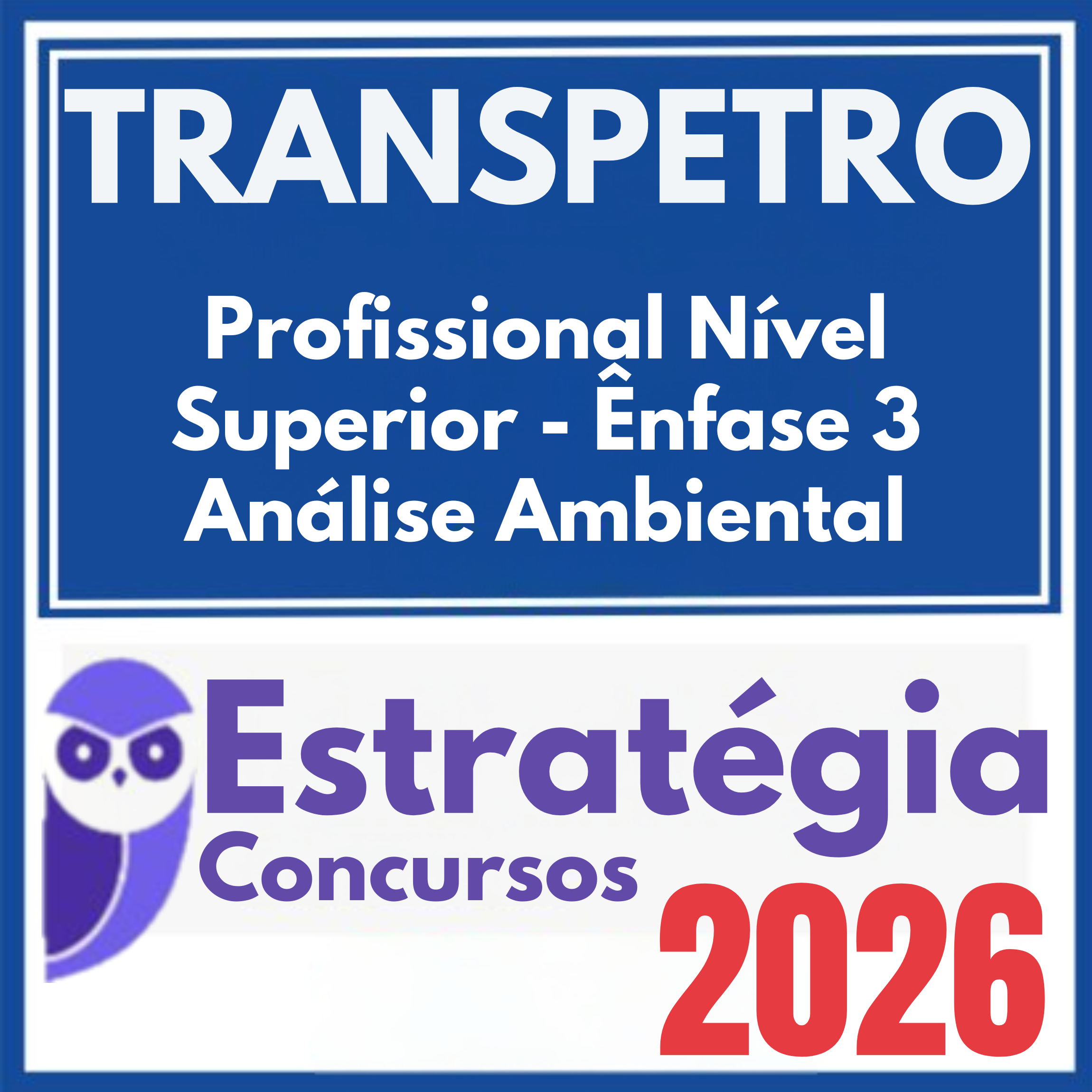 transpetro-enfase3-amb1